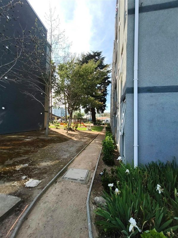 Foto 15