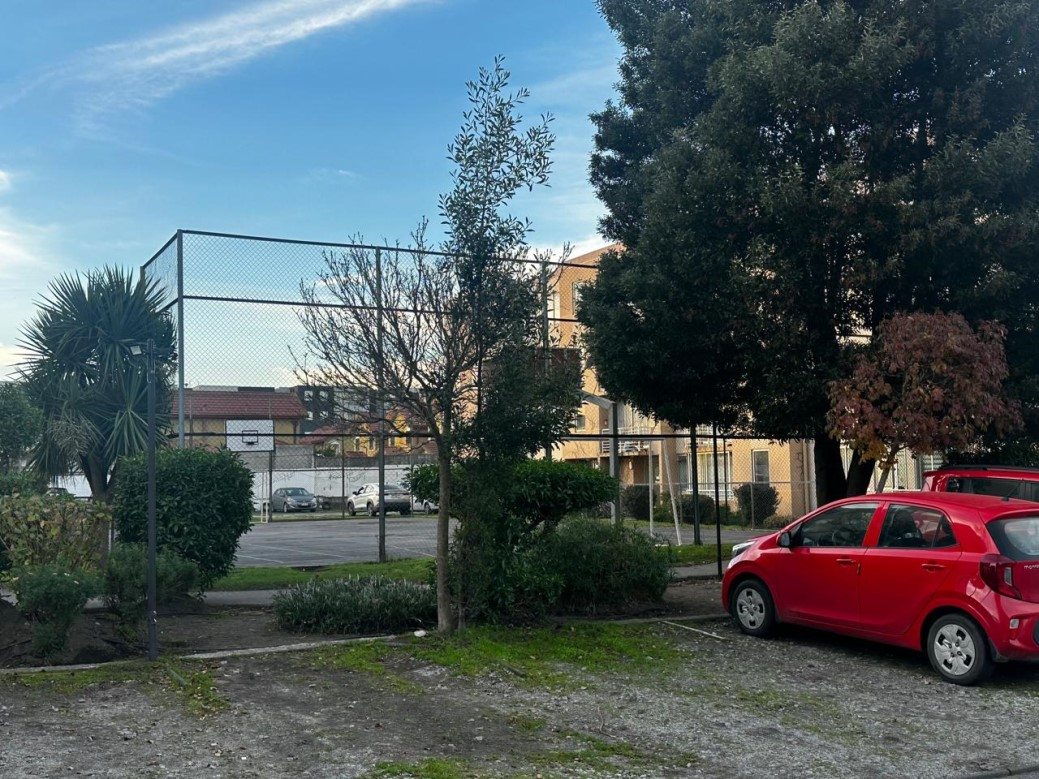Foto 17