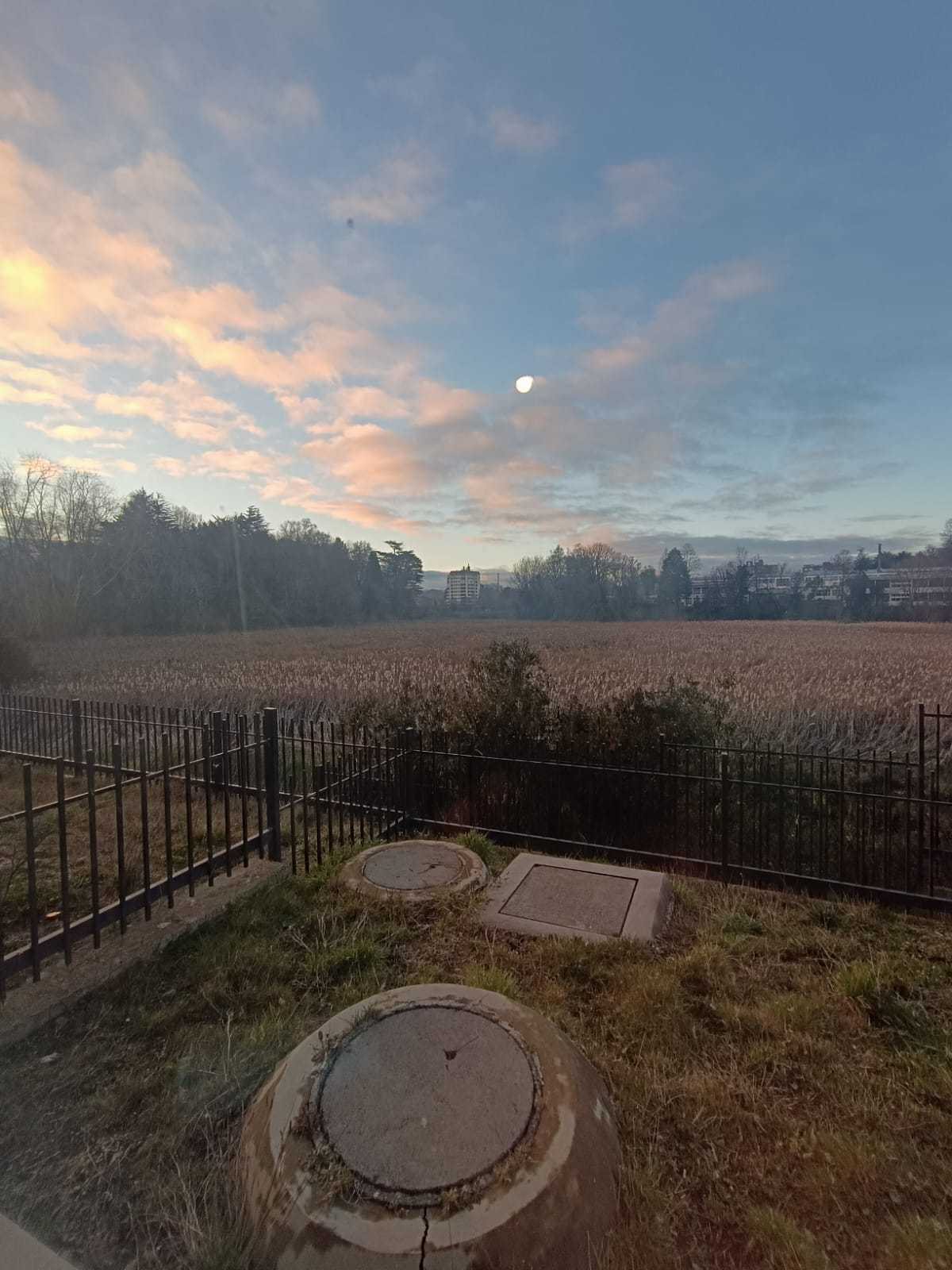 Foto 20