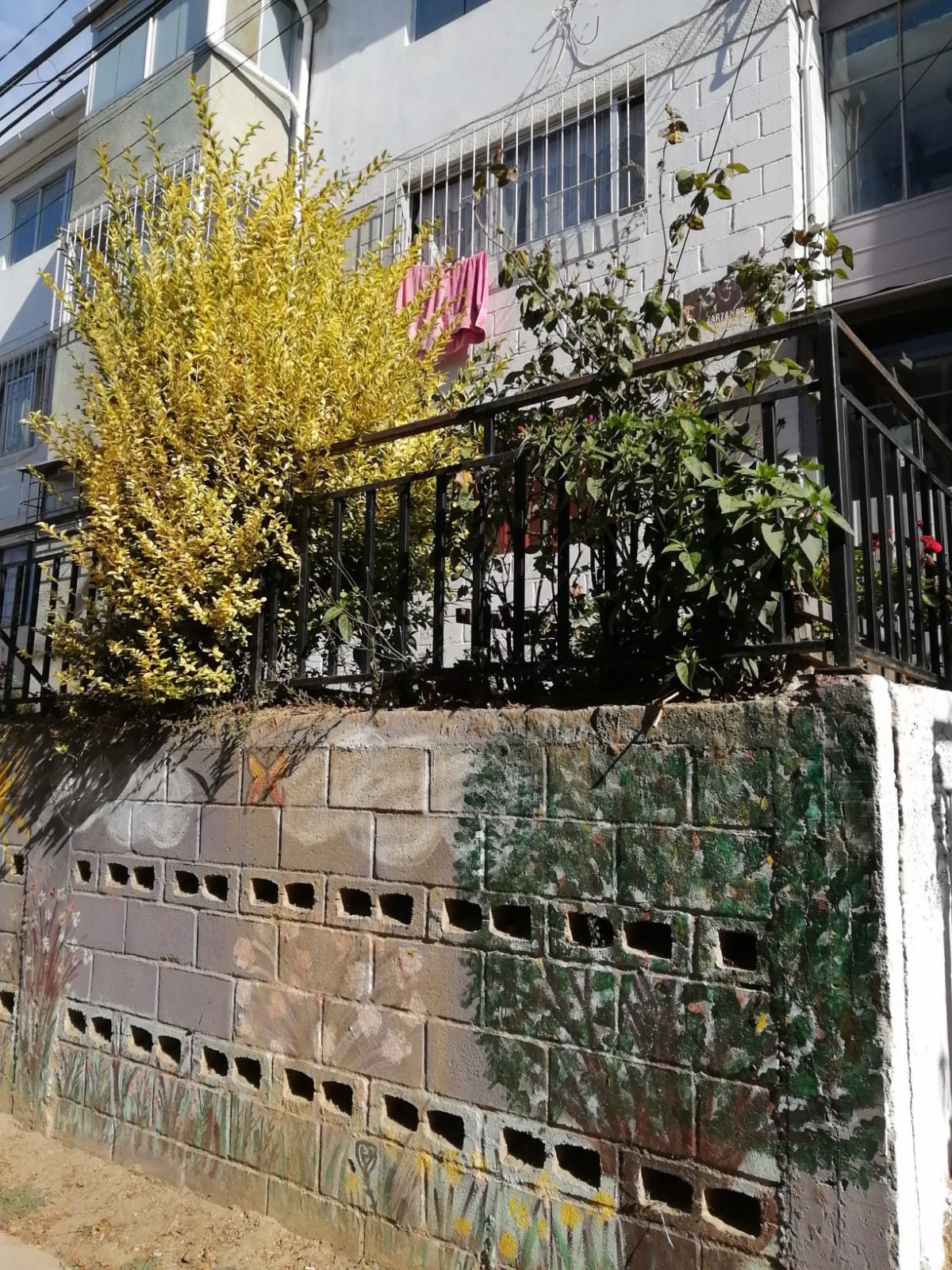 Foto 4