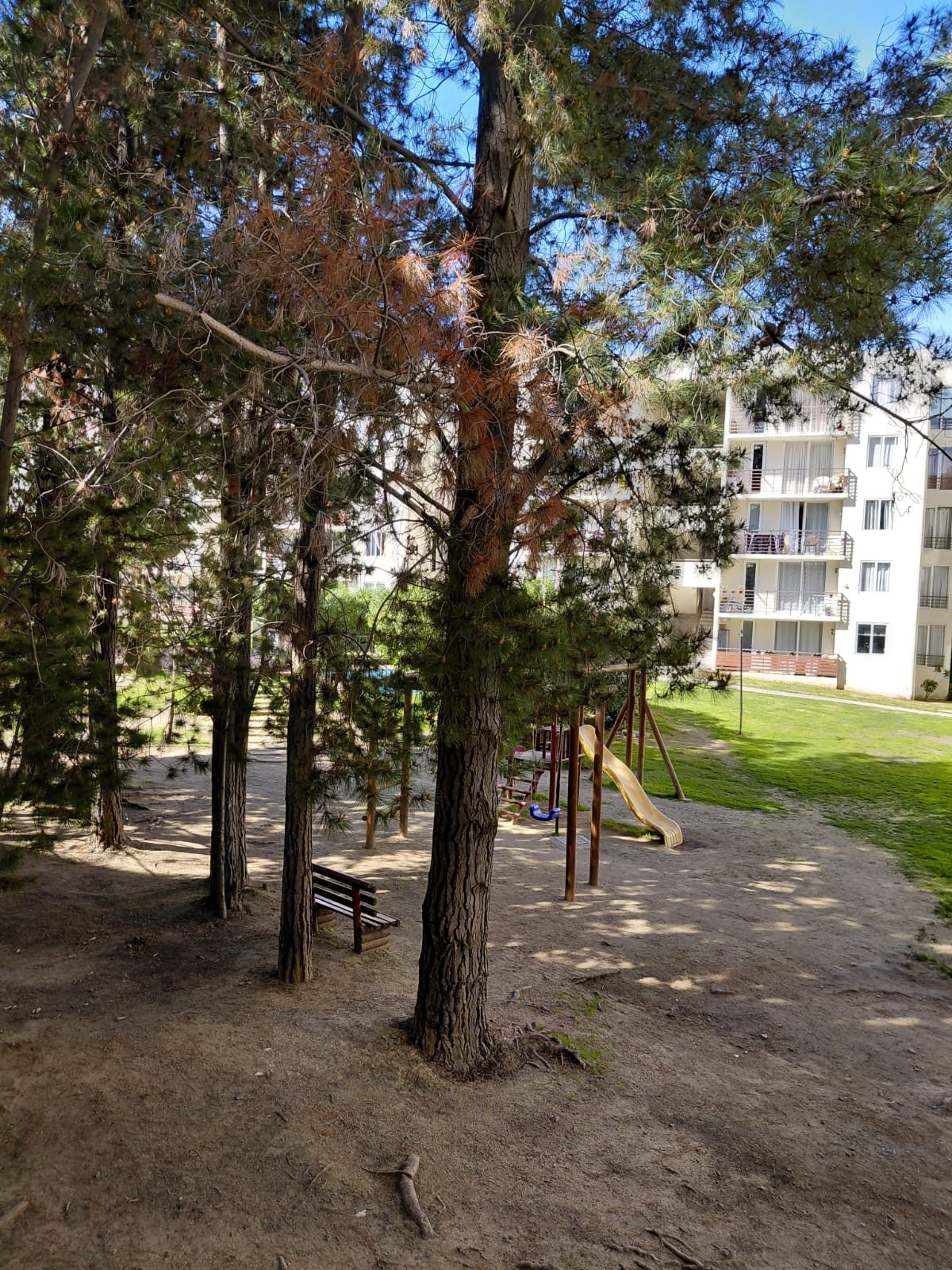 Foto 8