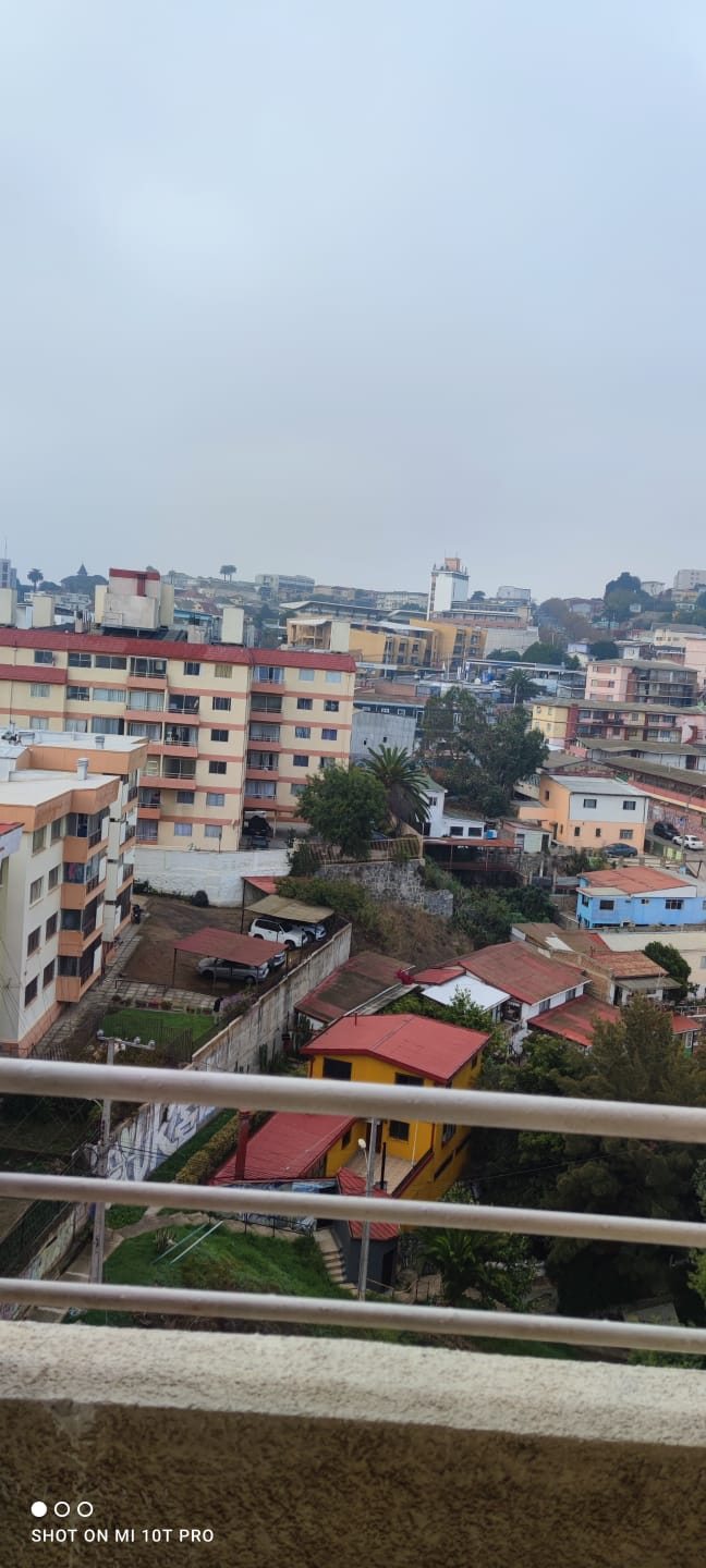 Vista