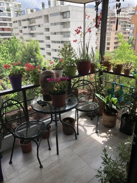 Foto 16