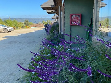 Cabañas