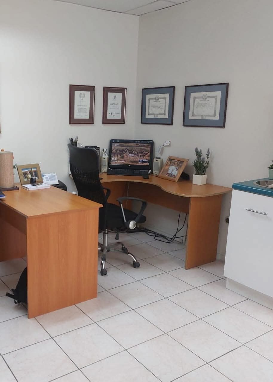 Venta Clinica Dental Calama (Oficina)