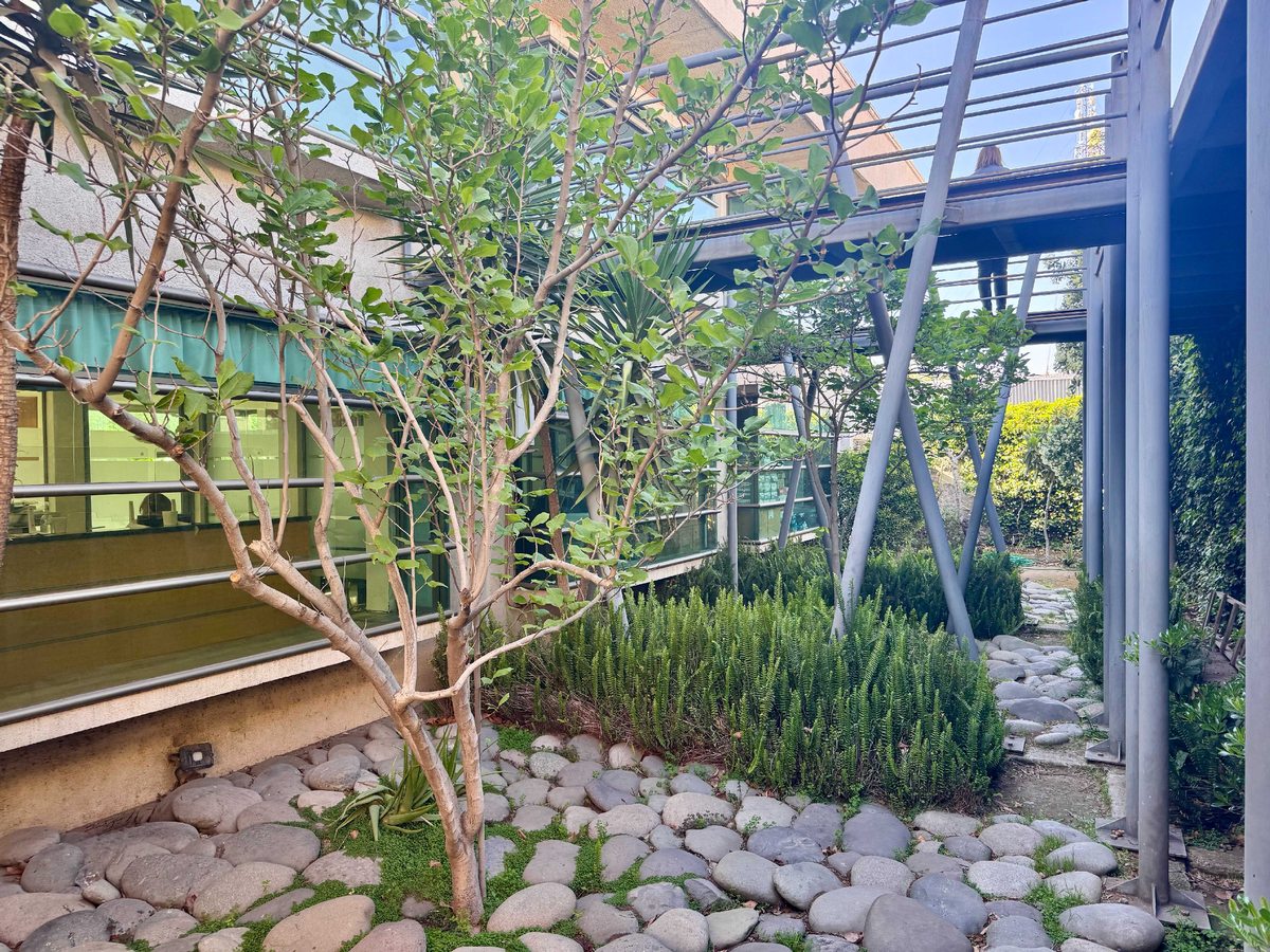 Oficina en Venta en Colina, Edificio de 2 niveles con 4 oficinas (135835)