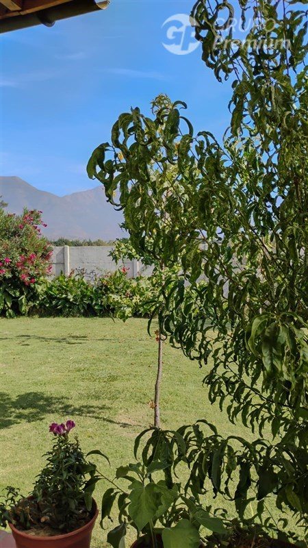 Foto 19