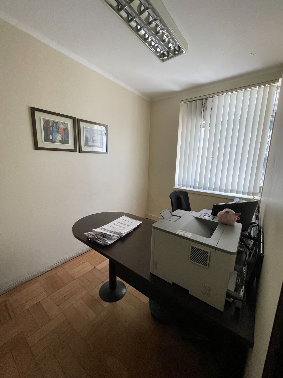 Foto 11