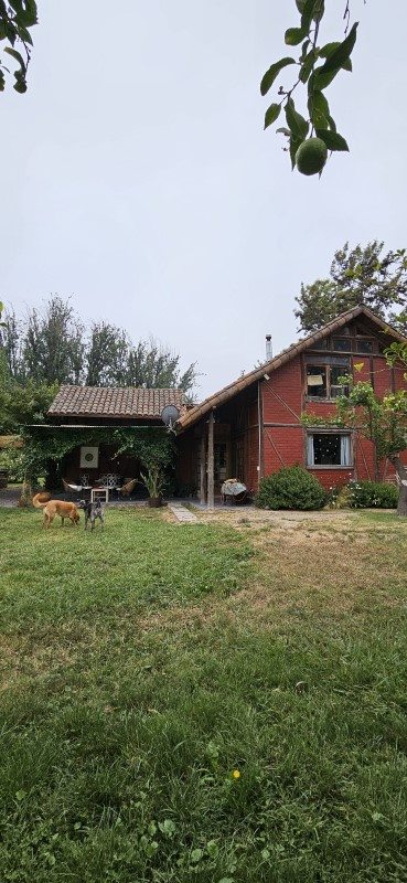 Foto 15