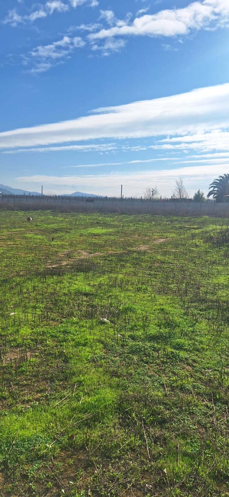 Venta Parcela Plana de 5.000m2, Viluco, Buin