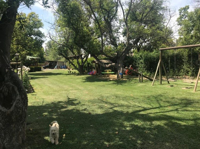 Foto 13