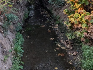 Canal