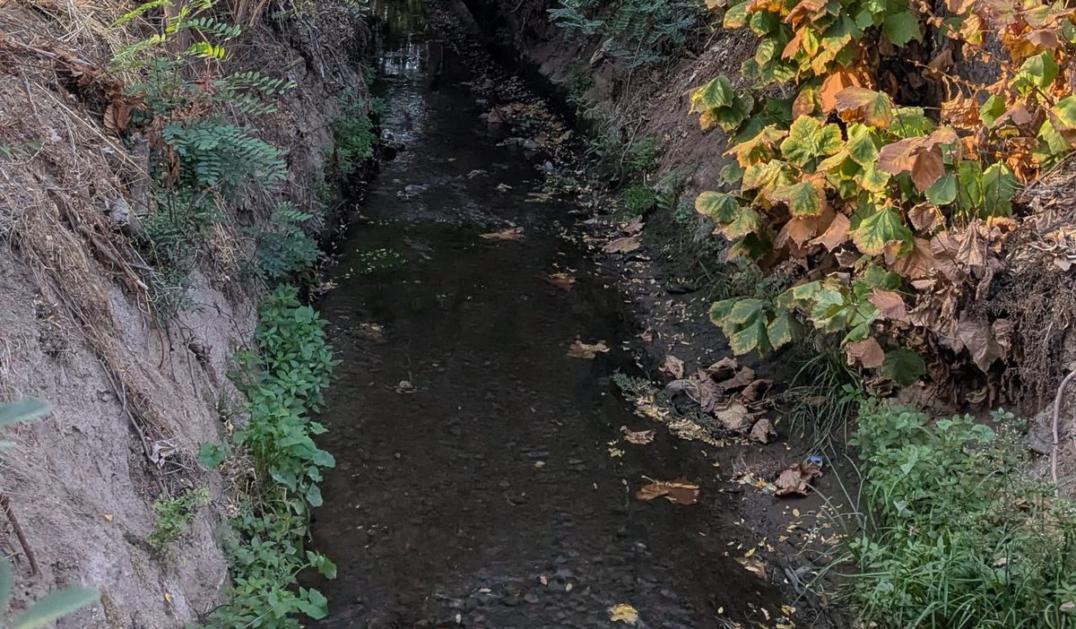 Canal