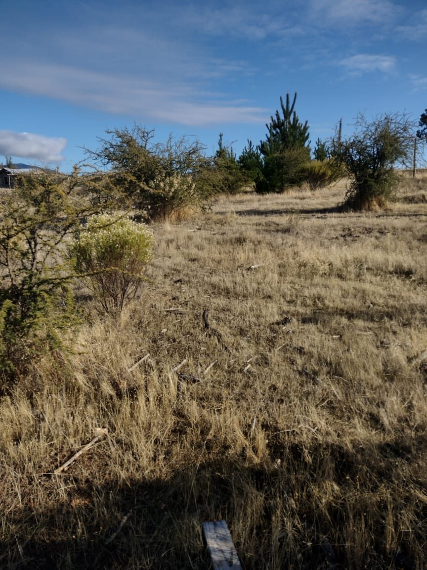Parcela en Venta en Cauquenes, Cauquenes