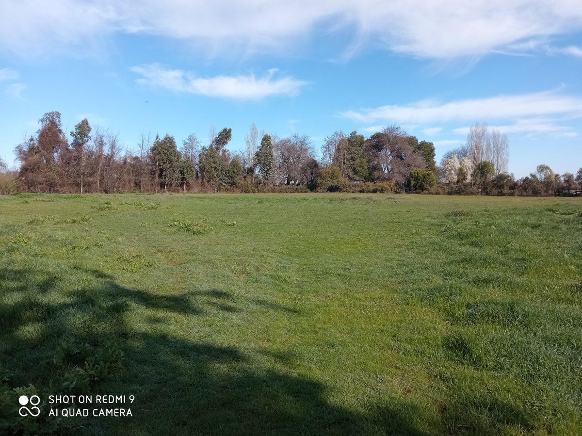 Parcela en Venta en Chillán, Camino A Coihueco 17