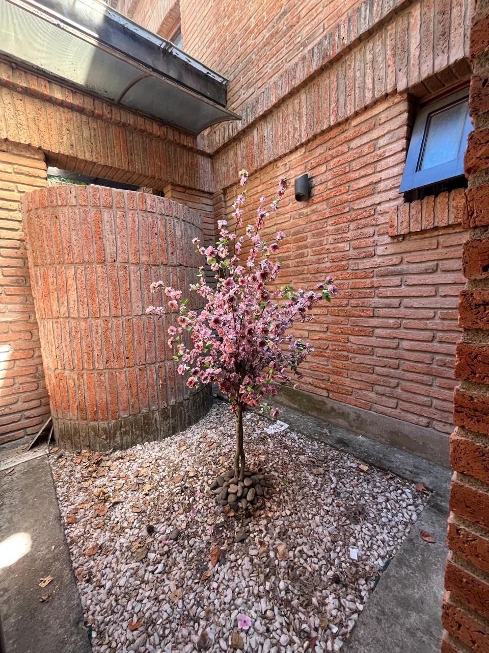 Foto 23