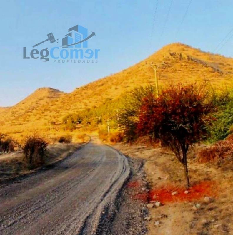 Foto 6