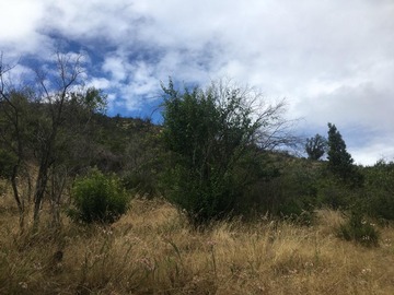#Curacavi