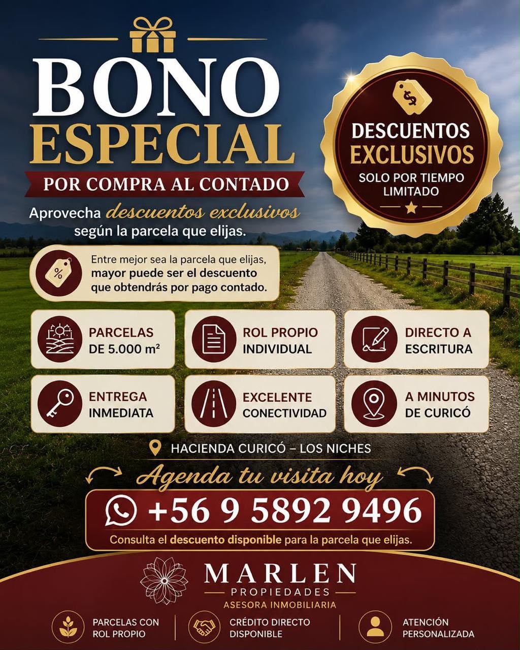 BONO ESPECIAL 