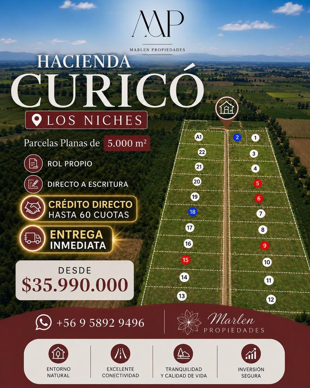 INFOMACION DEL PROYECTO 