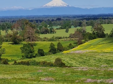 VISTAS AL VOLCÁN