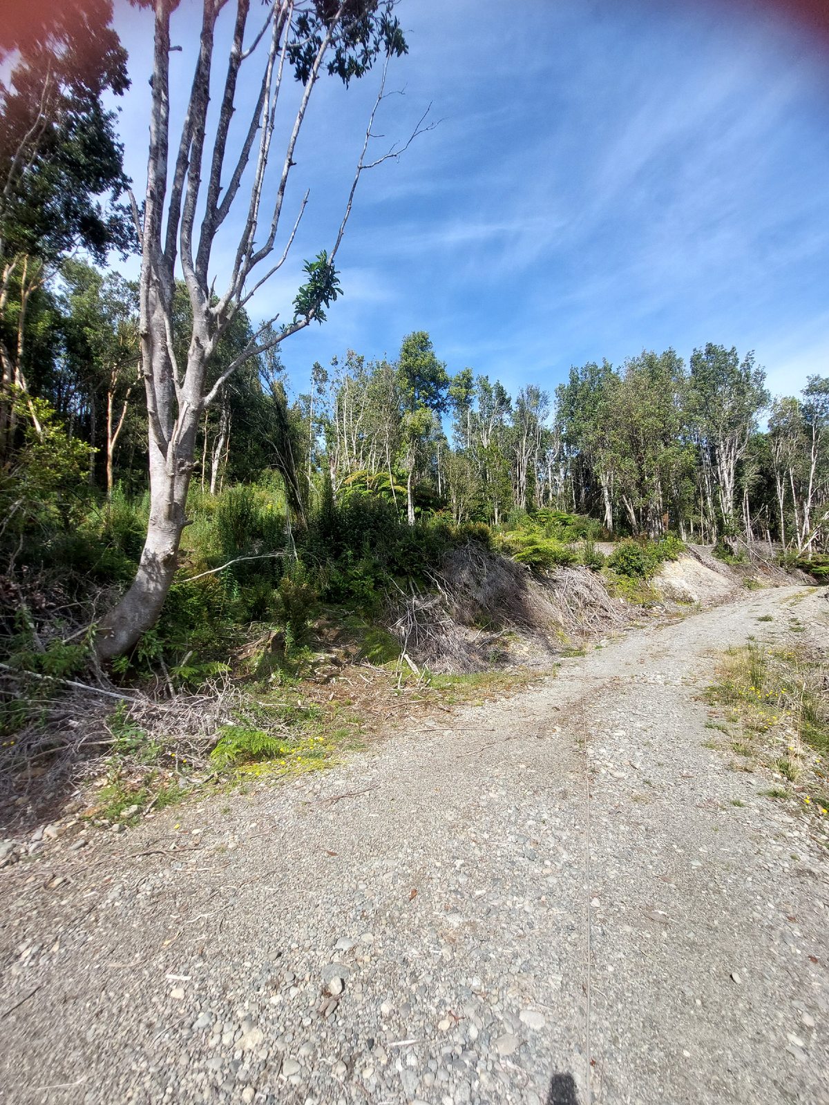 Camino de acceso