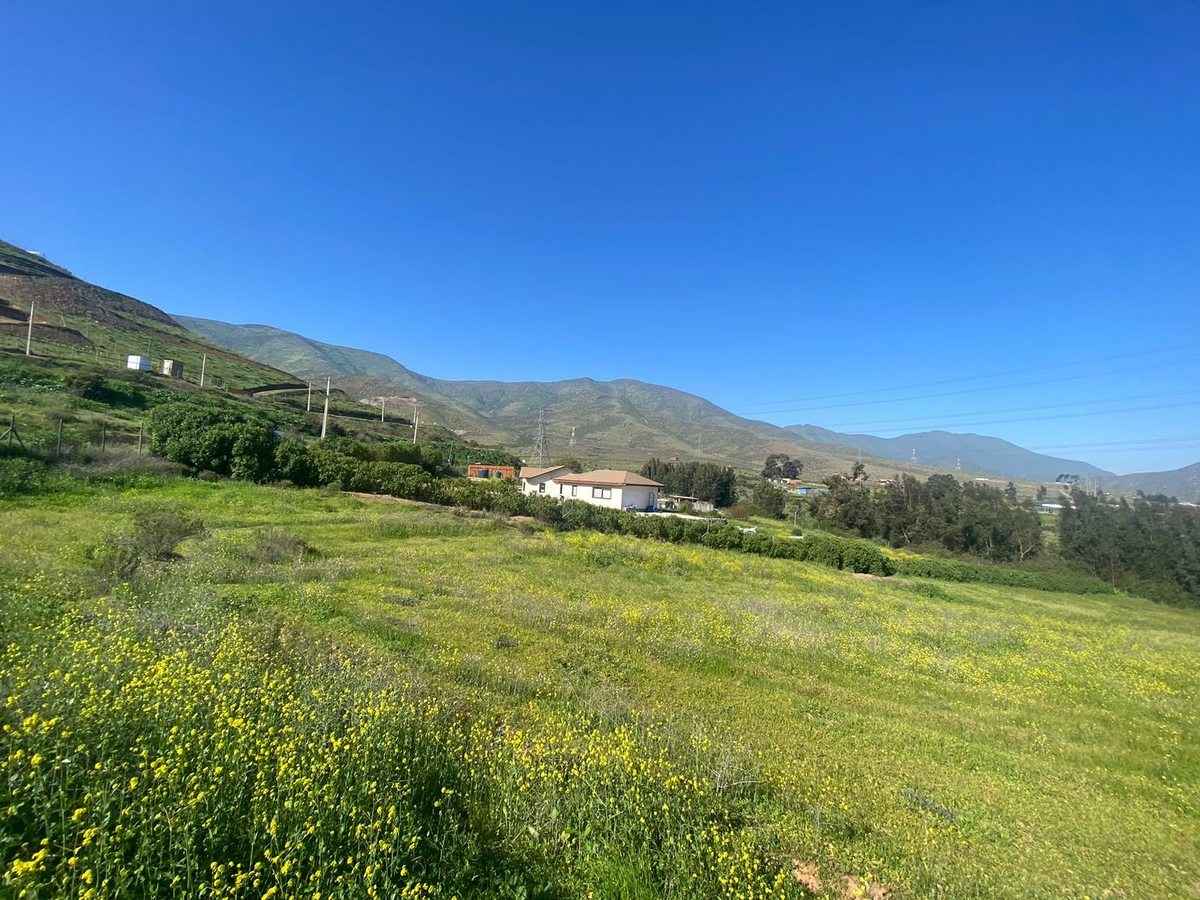 Vista Vecinos PArcela 85