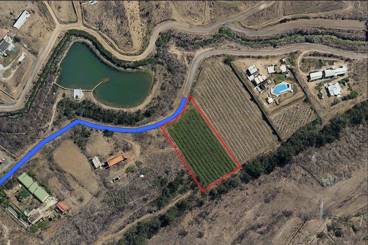 Ubicacion exacta y Terreno  parcela 85 Los Nogales