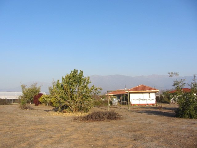Foto 16