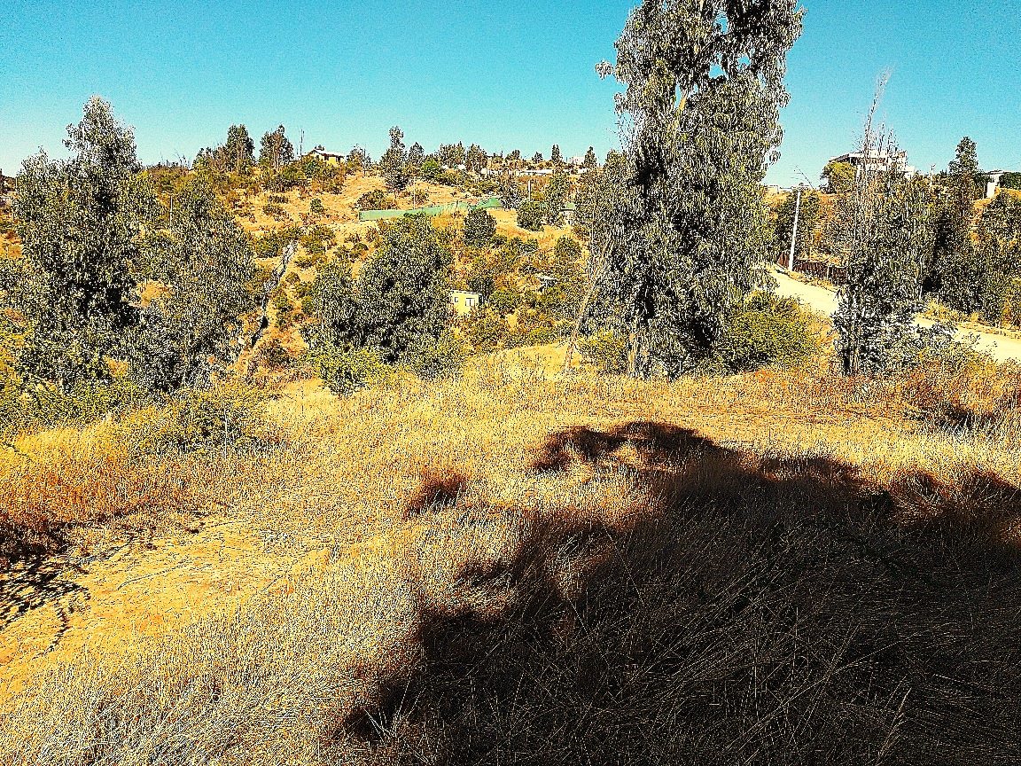 Parcela en Venta en Limache, Limache