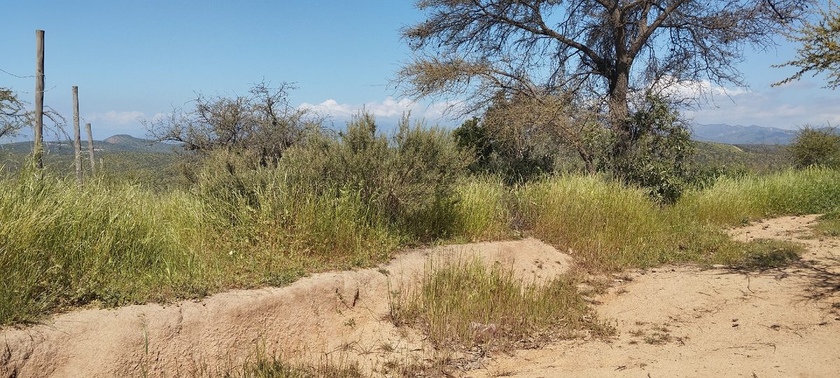 Parcela en Venta en Limache, Limache