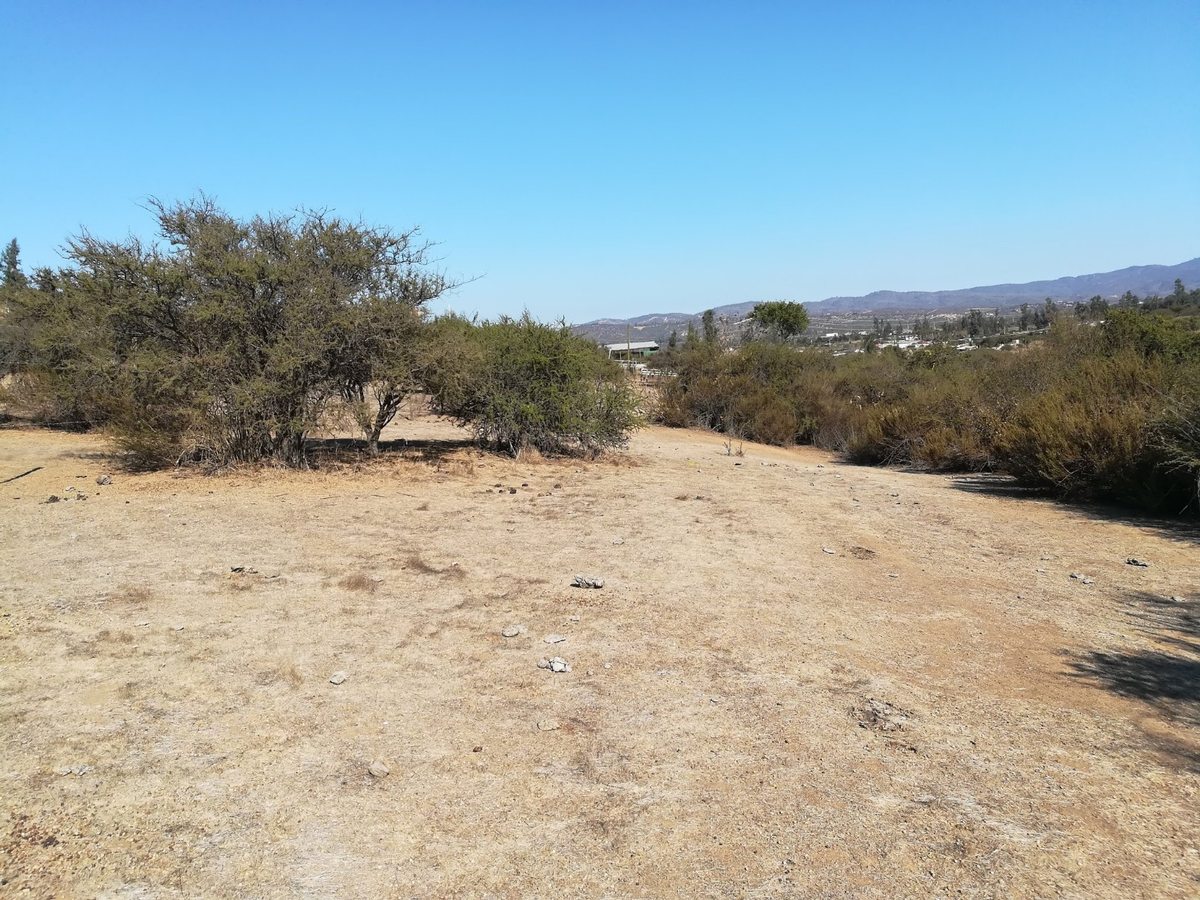 Foto 21