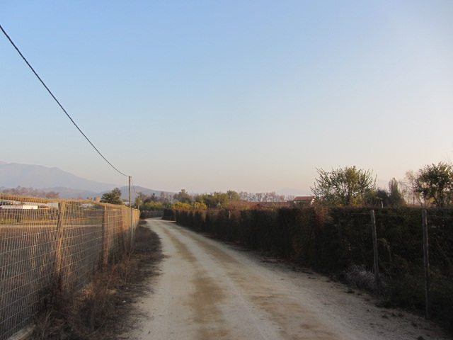 Foto 19