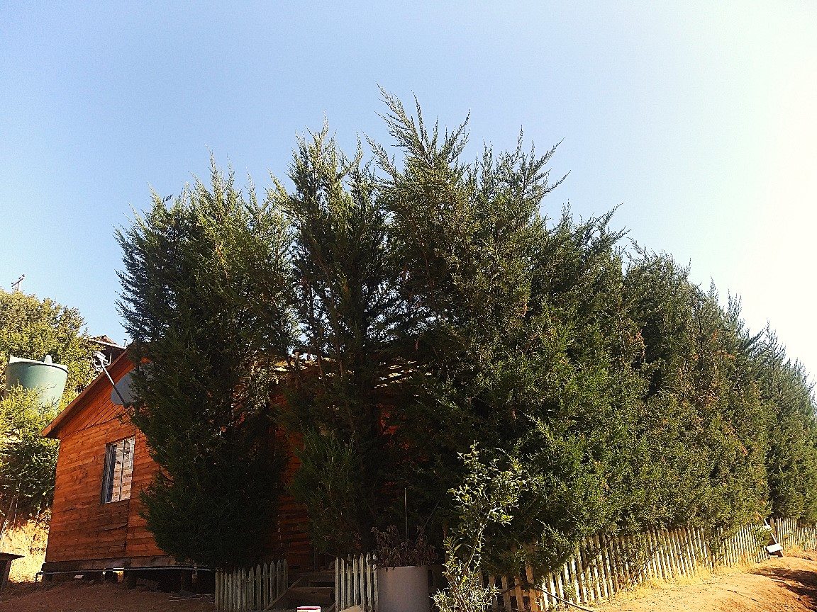 Foto 19