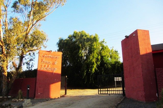 Parcela en Venta en Limache, Limache