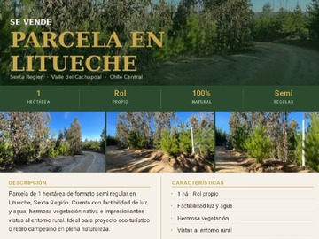 Bajo Precio!!! $12.000.000