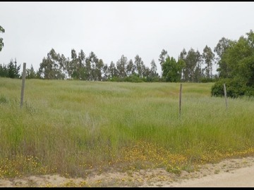 vista parcela