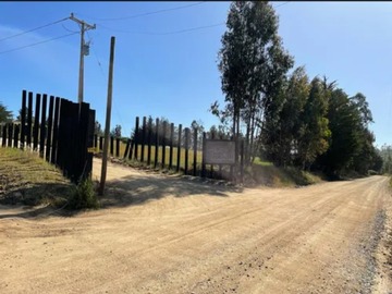 Entrada
