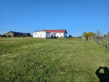 vista trasera