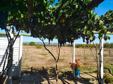 Patio posterior