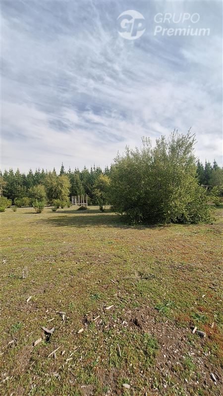 Parcela en Venta en Los Ángeles, Ruta Q-15 Camino Paraguay, Saltos del Laja, Los Angeles