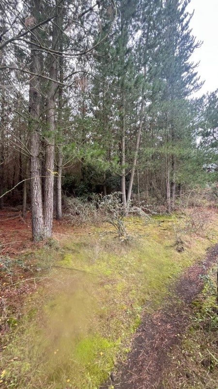 Foto 16