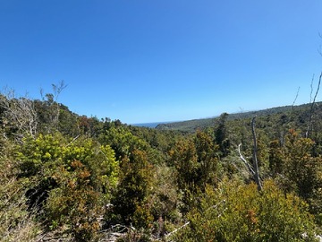 parcela 5