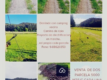 Varias tomas parcela.