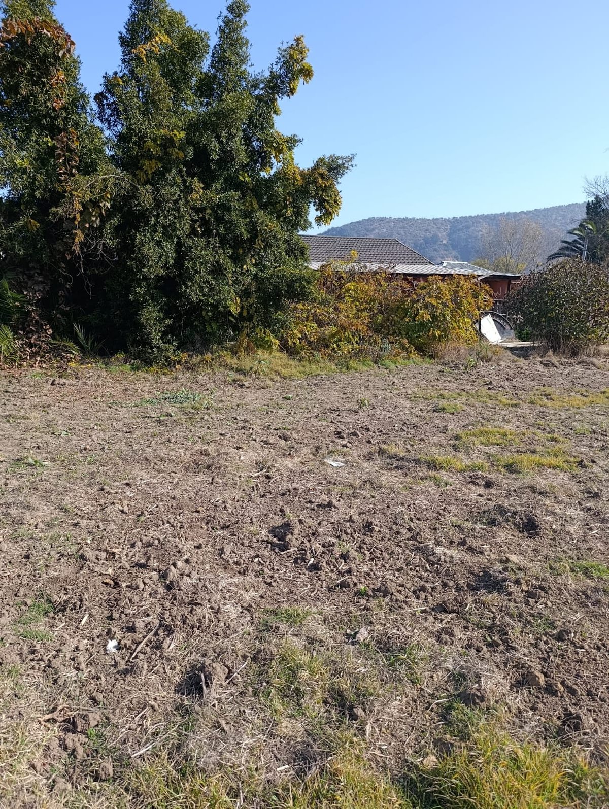 TERRENO