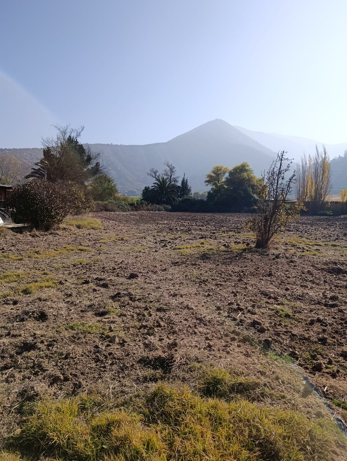TERRENO