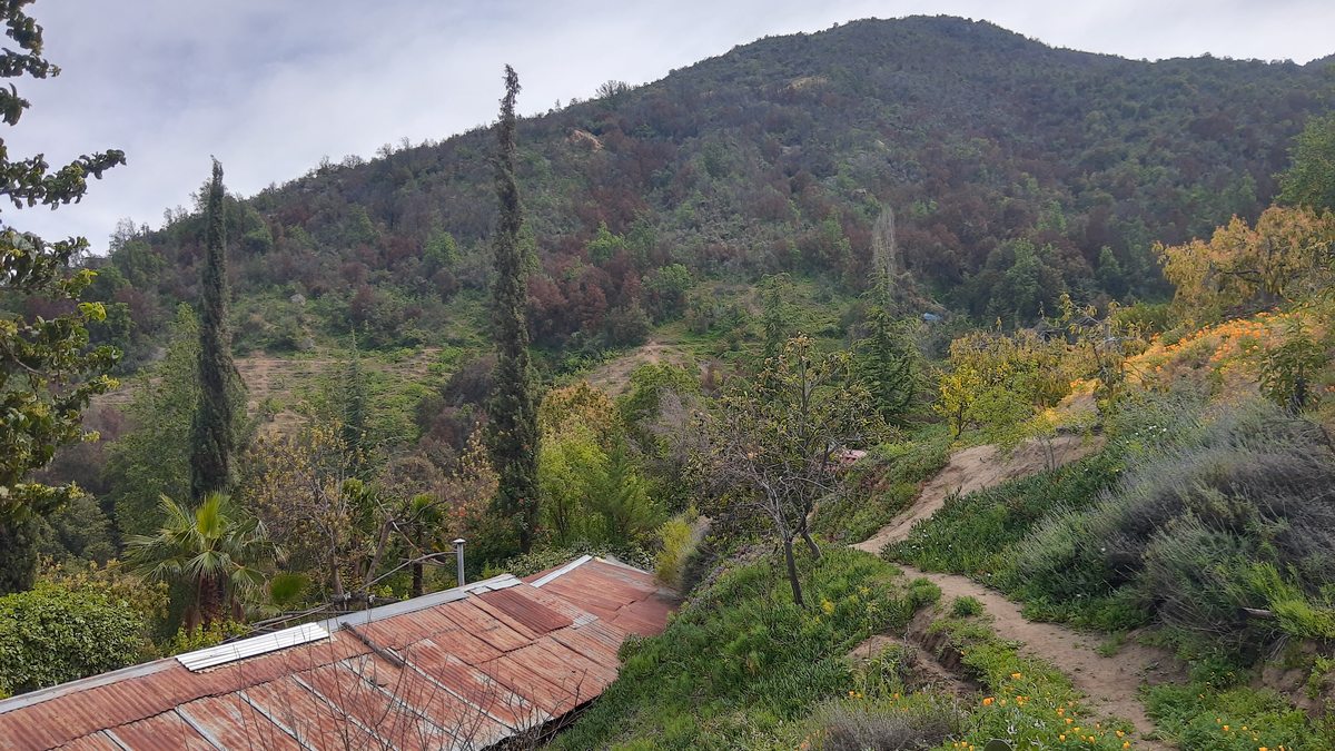 techo de bodegas