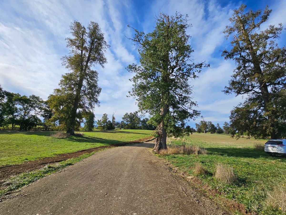 Parcela en Venta en Osorno, Avenida Padre Alberto Hurtado, Río Negro, Los Lagos 5390000, Chile