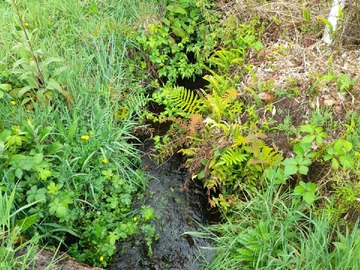 terreno