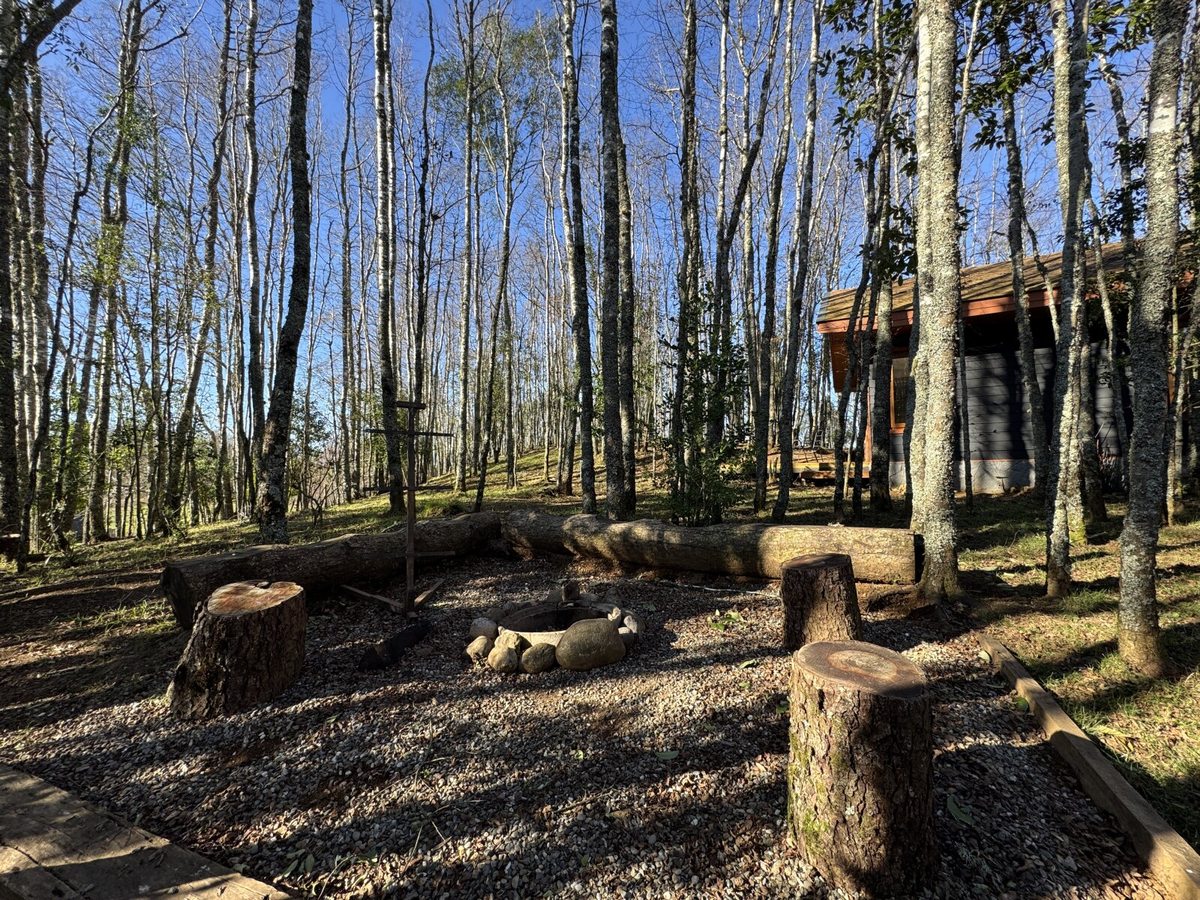 Zona de Asado